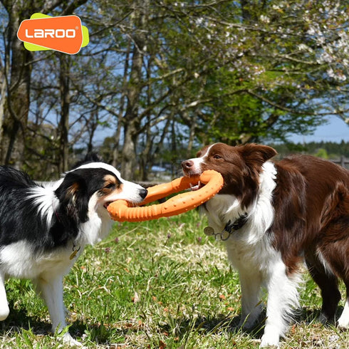 LaRoo Floating Flying Dog Disc Toys, Summer Pet Training Outdoor Chew Toys for Medium and Large Dogs (Large Orange/30cm)