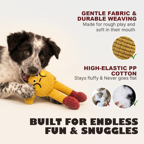 Squeaky Dog Chew Toy Teething Interactive Plush Stuffed Toys with Squeaker Crinkle Paper for Small Medium Breed Tough