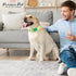 Parisian Pet Pineapple Dog Collar - Adjustable Pattern Buckle Safety Collar for Medium Dogs, Nylon-Breathable
