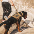 EXCELLENT ELITE SPANKER Tactical Military Dog Harness, Adjustable No-Pull Training Vest with Handle (Gry-S)