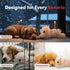 ALL FOR PAWS Heartbeat Puppy Toy for Dogs, Anxiety Relief and Sleep Aid, Plush Heart Beat Snuggling Bear for Small