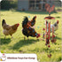 Large Chicken Toys for Coop, Chicken Wind Chime Enrichment Toys, Hanging Chick Peck Toy with Colorful Bells, Home