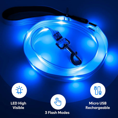 4 Ft Led Dog Leash - Rechargeable Light Up Waterproof, Safety Glow In The Dark for Night Walking, Nylon Reflective