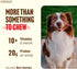 (4-5 Inch, 10 Pack) 100% Natural Farm Odor-Free Braided Bully Sticks - Grass-Fed Beef, Grain-Free, Low Fat & Fully