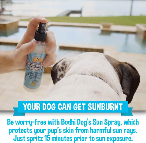 Bodhi Dog Sunscreen - Large 8oz SPF 30+ | Moisturizing Pet Sunscreen for Dogs, Cats, Horses, Natural Skin Protection