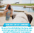 Bodhi Dog Sunscreen - Large 8oz SPF 30+ | Moisturizing Pet Sunscreen for Dogs, Cats, Horses, Natural Skin Protection
