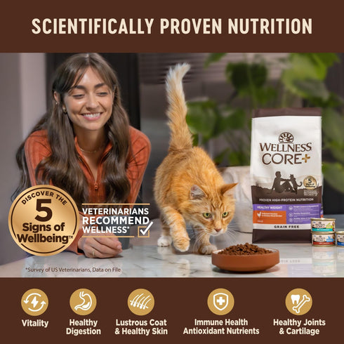 Wellness CORE+ Natural Grain-Free High Protein Adult Dry Cat Food, Salmon and Herring Meal, Indoor Recipe, 11 Pound Bag