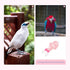 Reusable Parrot Diaper and Bird Flight Costume, Washable Pink L Size Parrot Clothes with Diaper for Pet Birds, Suitable