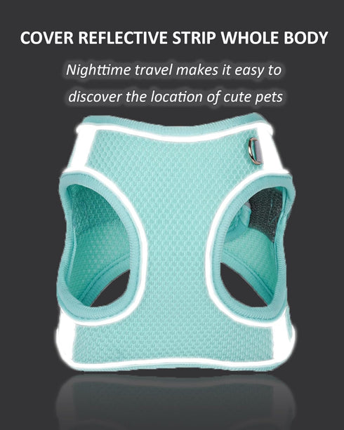 Dog Harness for Small Medium Large Dogs: No Pull, Puppy Harness and Leash Set, Step-in Mesh Harness (Pink, XS)