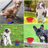 Dog Bowl Pet Collapsible Bowls, 2 Pack Portable Water Bowls for Cats Dogs with 2 Carabiners (Small, Blue + Red)