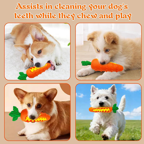 Generic Pet Dental Chew Made of Food-Grade Silicone. It Helps Alleviate Dogs' Habit of Chewing, Has No Odor, is