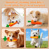 Generic Pet Dental Chew Made of Food-Grade Silicone. It Helps Alleviate Dogs' Habit of Chewing, Has No Odor, is