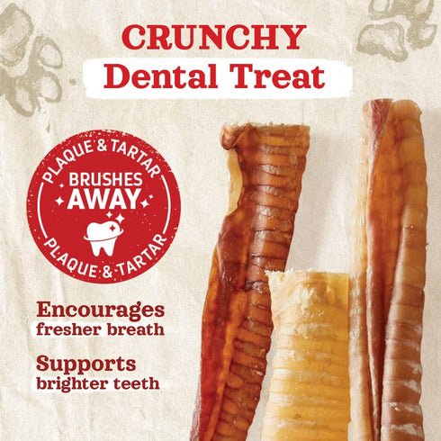 (6 Inch, 6 Pack)- 100% Natural Farm Beef Trachea for Dogs Beef,Odor Free Trachea Dog Chews- Glucosamine & Chondroitin