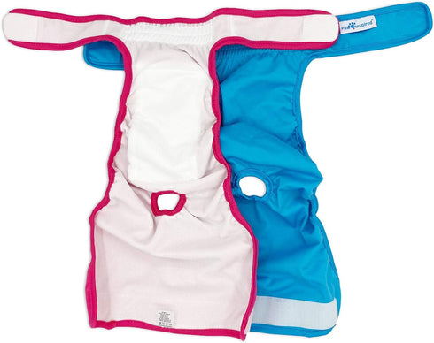 (2 Paw Inspired Washable Reusable Dog Diapers Female, Cloth Dog Diapers, Dogs in Heat, Dog Incontinence (Assorted