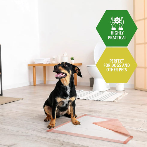 MED PRIDE Dog Training Pads, Pack of 125, Ultra-Absorbent Disposable Puppy Potty Pee Pads, Leakproof & Waterproof
