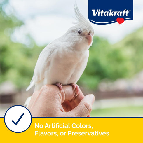 Vitakraft Mini-Pop Corn Cob Bird Treat, 6 Ounce, Pack of 1