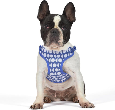 The Dodo Dog Harness, Blue Dodo Print, Size Medium; Easy Step-in Harness with Breathable Mesh Fabric