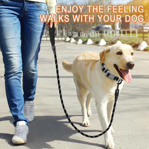 BARKBAY Dog Leashes for Large Dogs, Heavy Duty 2 PACK 5 FT with Comfortable Padded Handle, Highly Reflective Threads