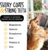 Snatchers Elk Antlers for Dogs, Long Lasting Chews for Aggressive Chewers, Naturally Shed Deer Antlers (Jumbo, 1 Count)