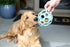 (5.5 Inch JW Pet HOL-ee Roller, Dog Toy Puzzle Ball, Natural Rubber, Large Diameter), Blue