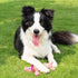 5 Pack Squeaky Plush Puppy Dog Chew Toy Assortment - Interactive Teething Toys for All Breeds and Sizes, Elephant, Pig,