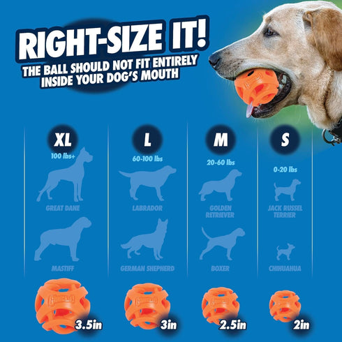 Chuckit! Air Fetch Ball Dog Toy, Medium (2.5 Inch Diameter) for Dogs 20-60 lbs