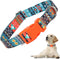 Dog Collar for Large Dogs, Adjustable with African Tribal Aztec Mexican Native Southwestern Boho Pattern for XS, Small,