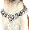 Dog Chain Collar - High Polished Stainless Steel Cuban Link Heavy Duty Chew Proof Walking Chain Leash for Small Dogs