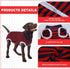 Recovery Suit for Dogs, Pet Recovery Suit After Surgery, Male Female Dog Neuter, Striped Abdominal Surgical Suit,