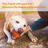 N-S Dog Toy, Squeaky Chewing Durable Teething Latex Rubber Balls for Puppy Small Medium Pet Dog (5PCS)