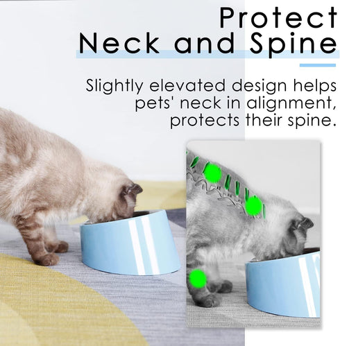 SuperDesign Mess Free 15° Slanted Bowl for Dogs and Cats, Tilted Angle Bulldog Bowl Dog Feeder, Non-Skid & Non-Spill
