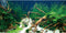 AWERT 48x20 inches Polyester Underwater Grass Plants Aquarium Background, Aquatic Plants Stone River Bed