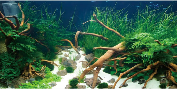 AWERT 24x16 inches Polyester Underwater Grass Plants Aquarium Background, Aquatic Plants Stone Fish Tank