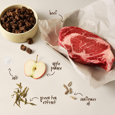 1lb Full Moon Pure Protein Air Dried Dog Food Ranch Raised Beef Recipe