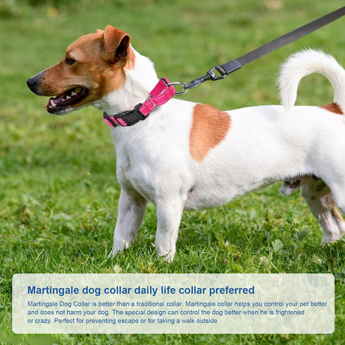 Reflective Martingale Dog Collars, Adjustable Soft Padded Breathable Nylon Pet Collar Suitable for Small Medium Large