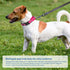 Reflective Martingale Dog Collars, Adjustable Soft Padded Breathable Nylon Pet Collar Suitable for Small Medium Large