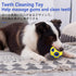 SCHITEC Dog Balls with Bell Sound, 2 Pack, Rubber Bouncy Fetch Ball for Medium Large Dogs