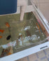 Acrylic Fish Breeding Box, Isolation Box for Aquarium, Hatchery Incubator with Suction Cups for Baby Fishes