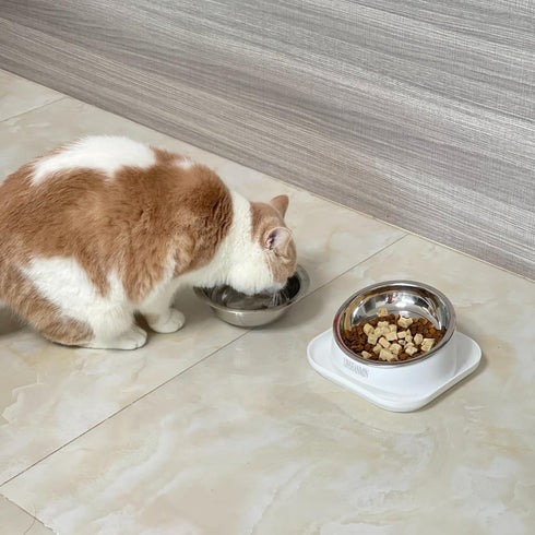 Cat Bowls Elevated Tilted Whisker Friendly - Shallow Stainless Steel Food Dishes for Indoor Cats, Elevated Design