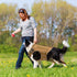 Tactical Dog Harness for Medium and Large Dogs - No Pull Adjustable Vest for Training, Hunting, Walking with Handle