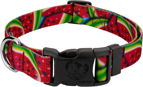 Country Brook Petz Deluxe Summer Melon Dog Collar, Tasty Collection (1/2 Inch, 2XS)