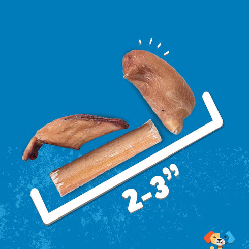 10 oz Jack&Pup Bully Stick Bites- - Small Dog Treats for Medium & Small Dogs, All Natural, Beef Pizzle Single
