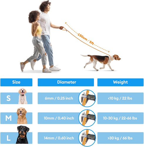 Grand Line Slip Lead Dog Leash - 5FT Reflective Slip Rope for Puppy Training and Walking (Blue, Medium)