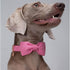 DOGWONG Hemp Cotton Dog Collar with Bow, Durable Adjustable Pink Collar for Small, Medium, Large Dogs