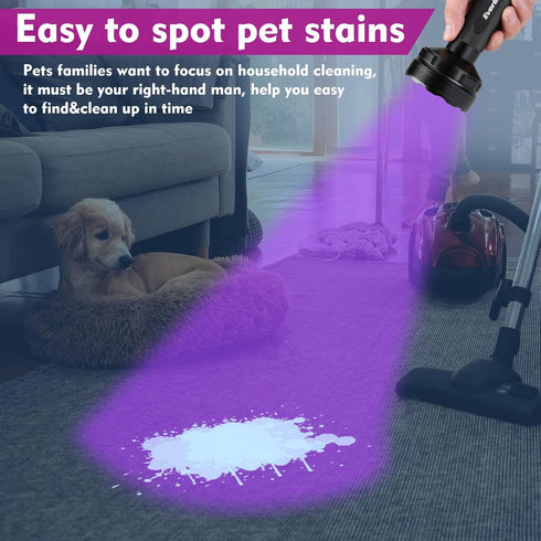 EverBrite UV Flashlight, 100 LED Blacklight Flashlight, 395nm for Pet Urine Detection, Batteries Included