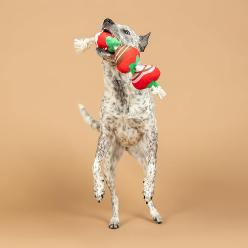 (314495) Fringe Studio Plush Dog Toy with Rope, Covered with Love, Petshop Collection