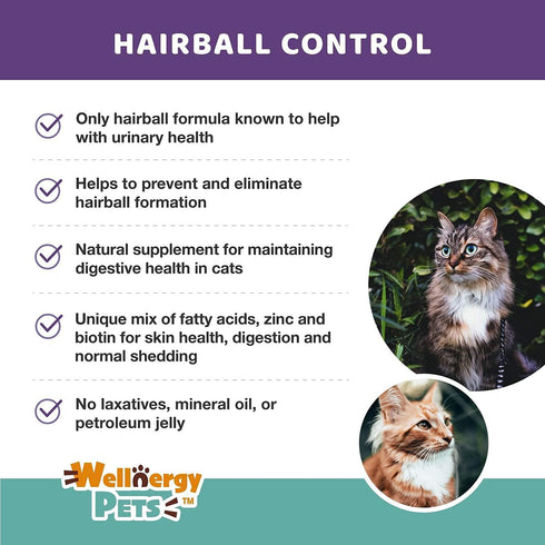 Natural Hairball Control Chews for Cats – Hairball Remedy with Omega 3 6, Zinc, Biotin, 70ct