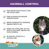 Natural Hairball Control Chews for Cats – Hairball Remedy with Omega 3 6, Zinc, Biotin, 70ct