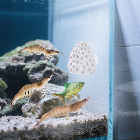 Penitue Shrimp Hides for Aquarium, Multi-Hole Shrimp Dome Hide with Suction Cup Coral Design Betta Fish Toys Fish Tank