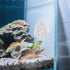 Penitue Shrimp Hides for Aquarium, Multi-Hole Shrimp Dome Hide with Suction Cup Coral Design Betta Fish Toys Fish Tank